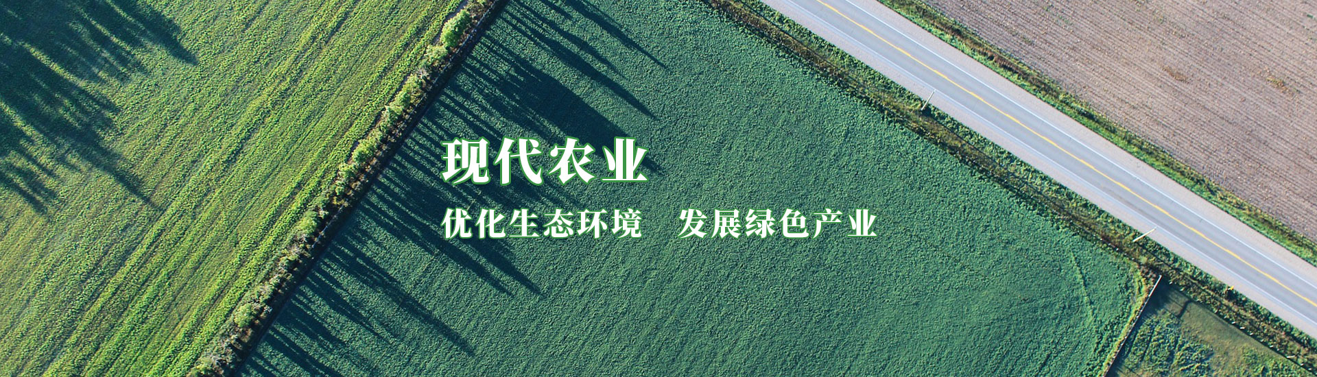 中国·9091美高梅(股份)有限公司-官方网站