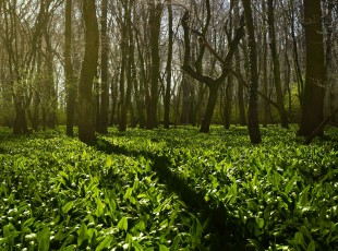 访田舍，送技术！ “中国农资”现代农业服务团队助力秋粮出产
